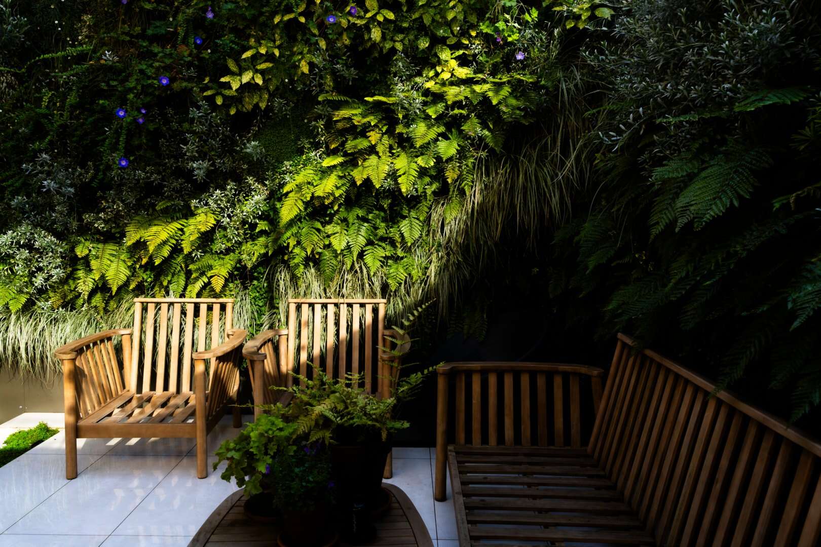 web design,visual content,websites,web design hampshire,rubber duckers,rubber duckers web design